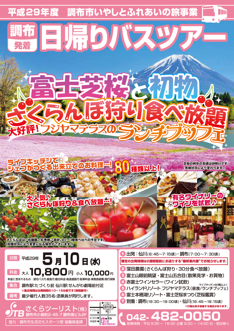 富士芝桜と初物さくらんぼ狩り食べ放題＋フジヤマテラスのランチブッフェ