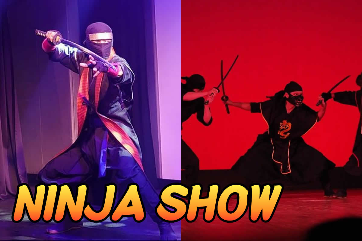 LIVE Ninja Show