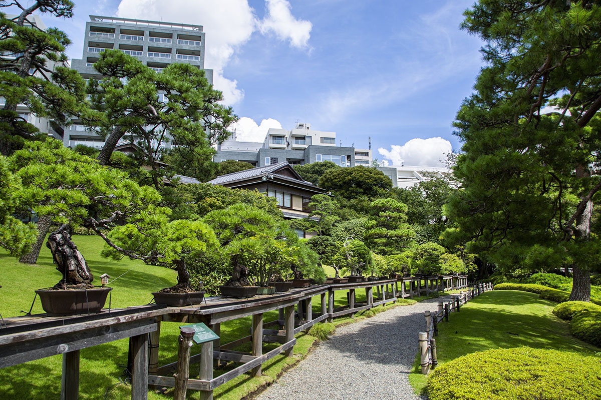 Happo-en, Historical Japanese Garden Guided Tour (VTR)