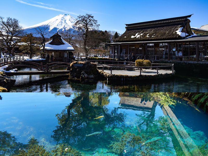富士山の伏流水の湧き出る神秘の池「忍野八海」